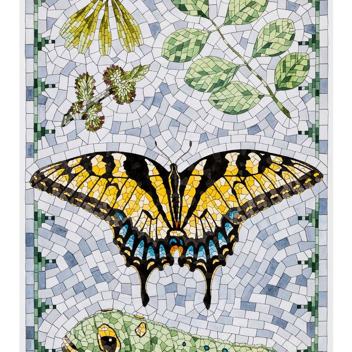 Pomegranate - Wholesale Stationery/Notecard Set - David Cohen: Butterflies Boxed Notecard Assortment1