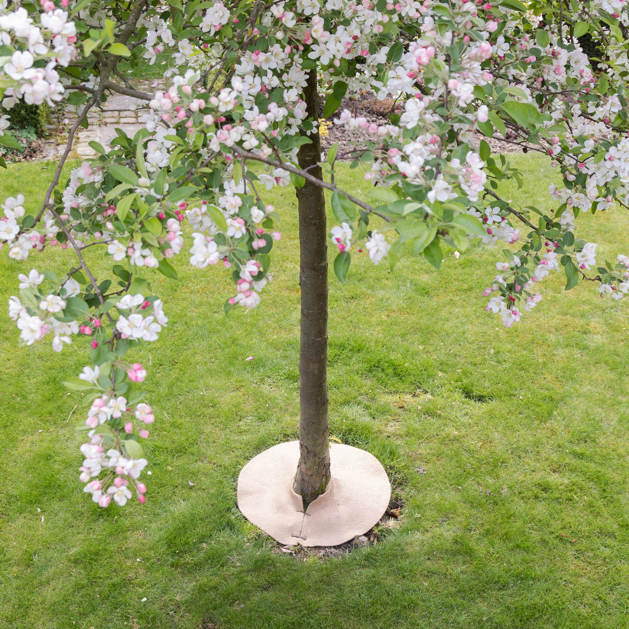 La Cordeline - Wholesale Garden Tool - 700g/m² Natural Jute Felt Mulch Disc1