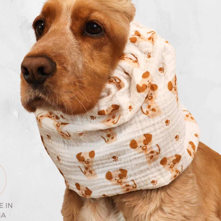 Snood pour chien en coton – Mousseline légère | Chiots pour la vente par Distinguish Me