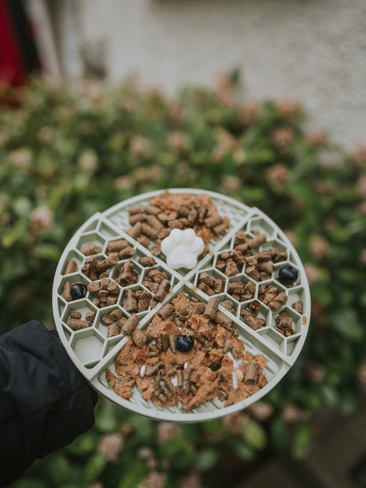 Honeycomb Lick Mat Sage Green for wholesale by Bodhi & The Birchtree