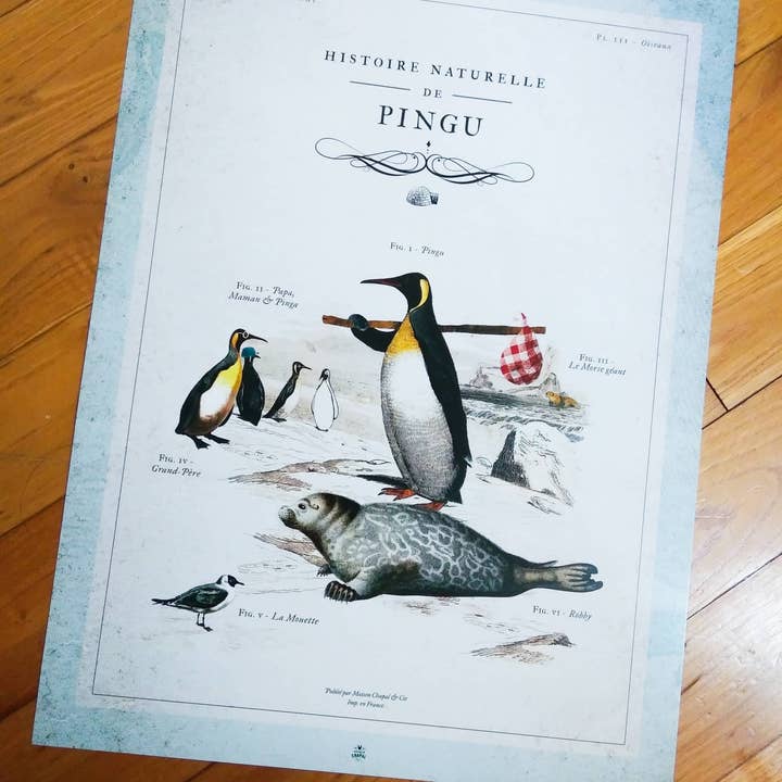 Maison Chapal - Venta al por mayor Pósteres - Historia natural de Pingu • Los héroes de nuestra infancia