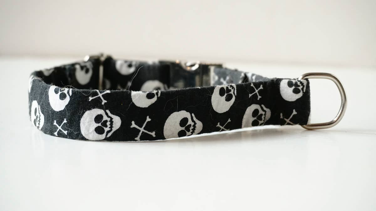 hundsfutter - Wholesale Pet Collar - Dog - Small collar for dogs with skulls7
