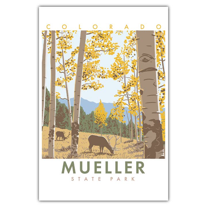 Mueller - Colorado State Park Postcard for wholesale by Bozz Prints