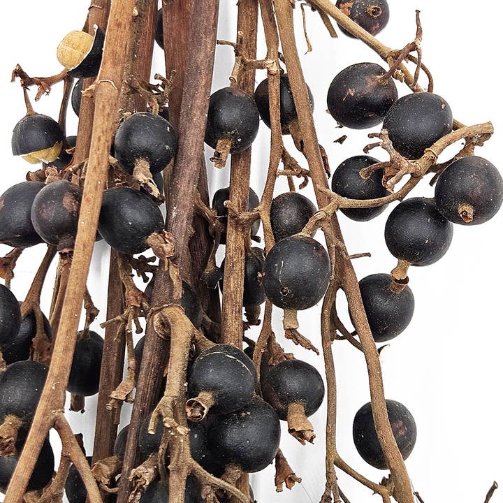 A&B Home Group Inc. - Wholesale Artificial Plant - 23.5" 7PC/Bunch Cluster Black Berry4