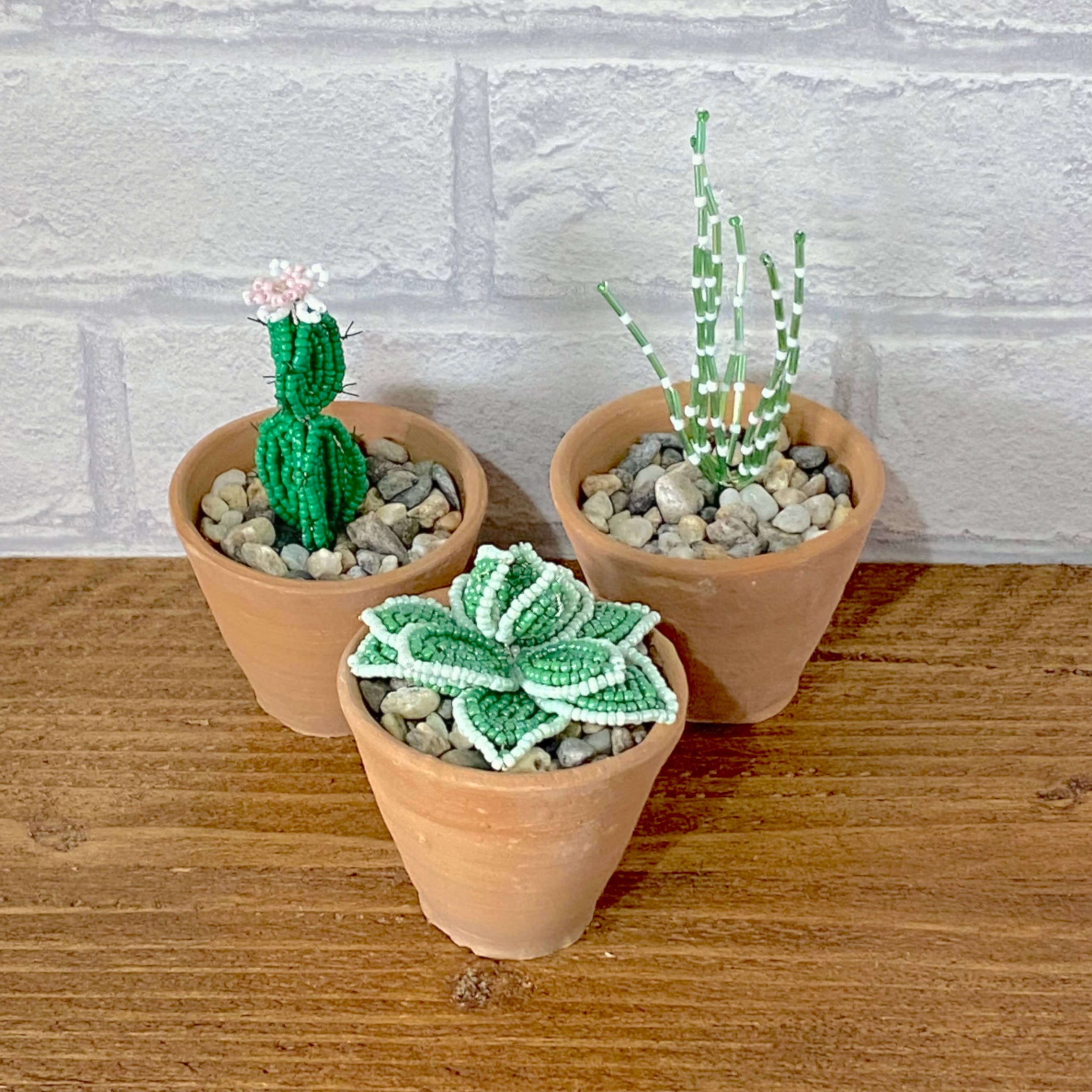 The Beaded Garden – wholesale DIY craft kit – Cactus Collection Craft Kit for Adults. Creative Gift.2