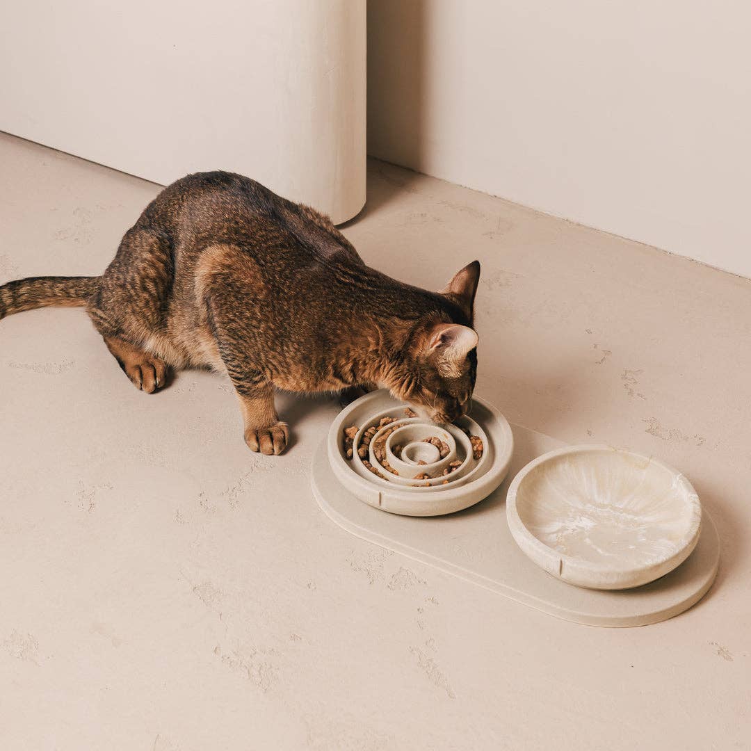 PINO - Wholesale Pet Bowl - Cat - Slow Feeder Bowl for Cats11