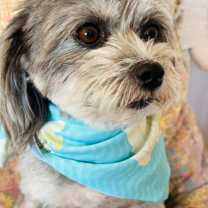 Maritime Tribes LLC - Wholesale Pet Bandana - Dog - Bandana aka Dogdana -Doggie Bandana4