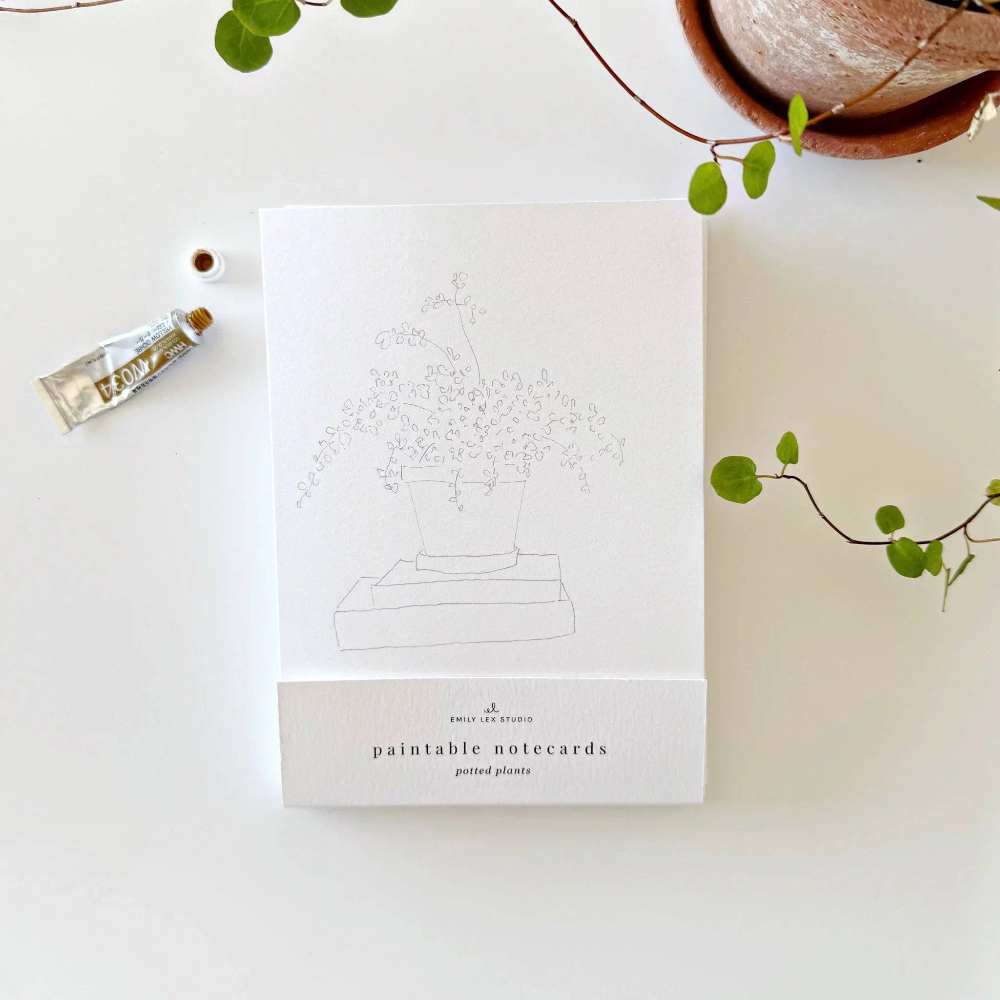 emily lex studio - Vente Assortiments de papeterie/cartes - ensemble de cartes aquarelle à peindre avec des plantes en pot1