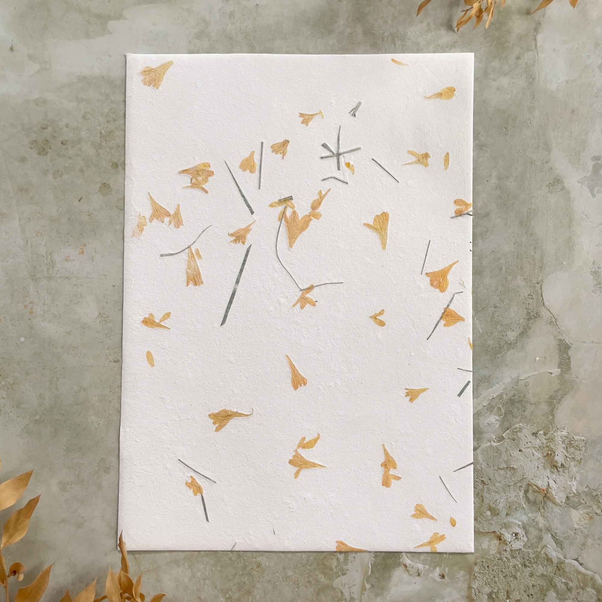 The Natural Paper Company – wholesale Stationery/notecard set – Gaillardia - Flower Handmade Paper and Envelopes | Recycled 0