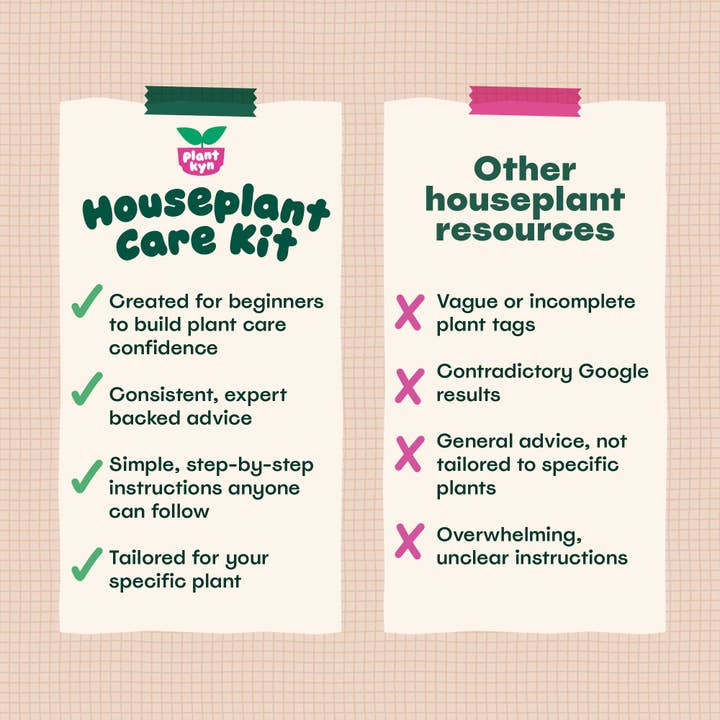 Plantkyn – Großhandel Bastelset – Monstera-Pflegeset4