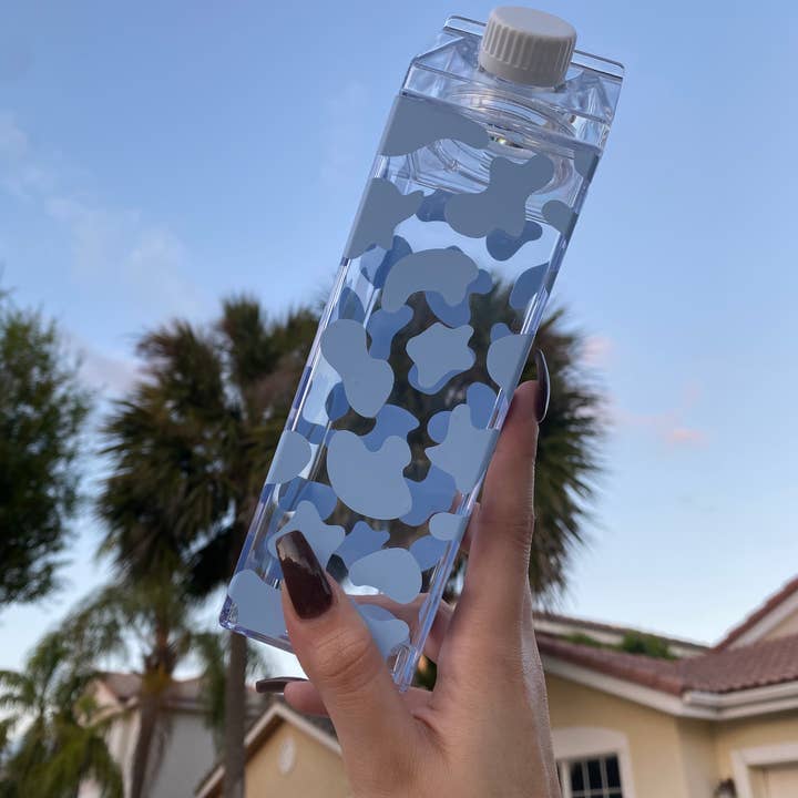 Paulakoalaco - Vendita all'ingrosso Borracce - Cartone di latte di mucca2