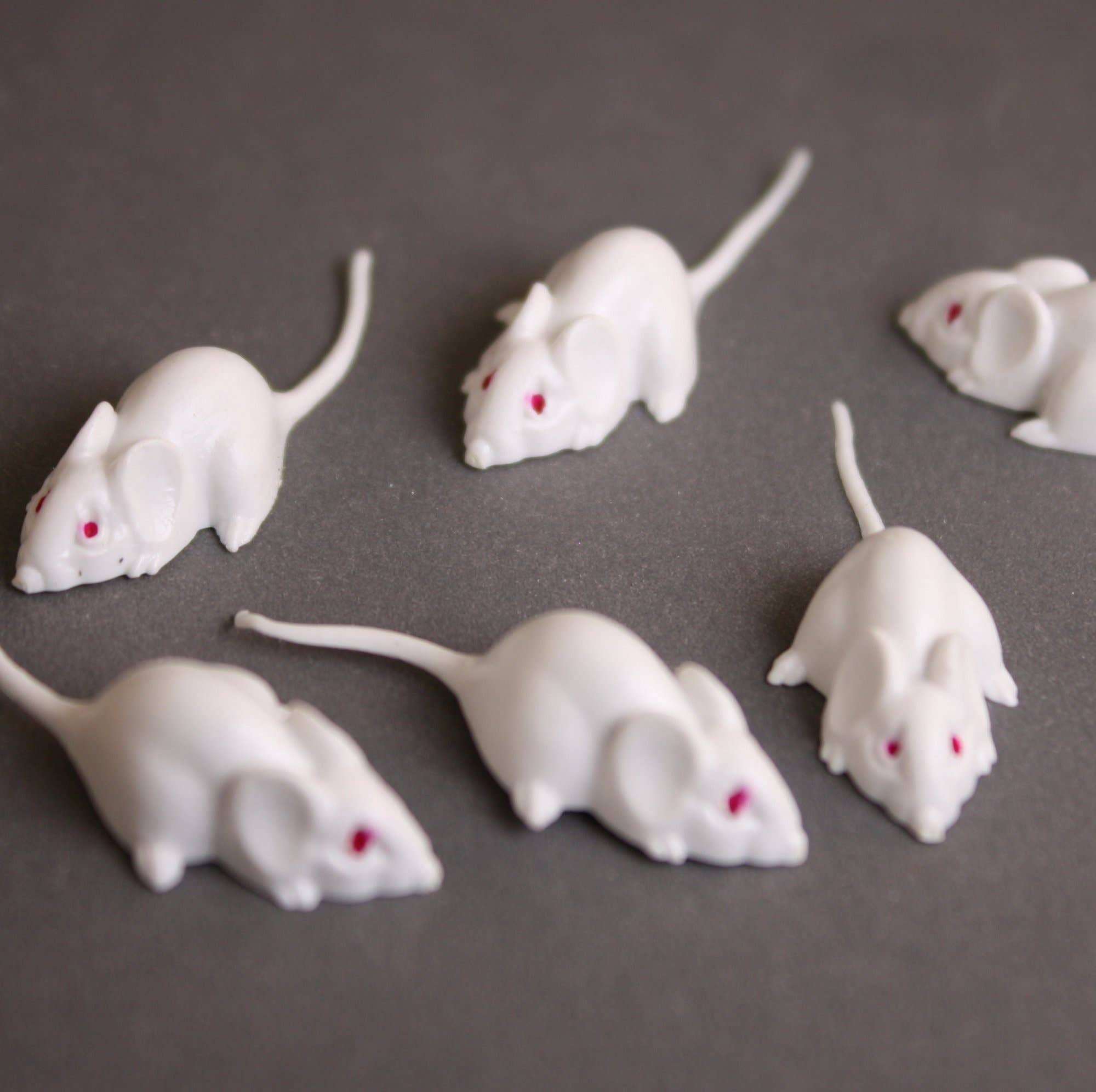 Mice - White Mouse Set - Red Eyes - 1" - 6 Pieces for wholesale on Faire4