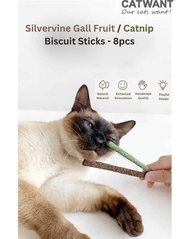 Silvervine Gall Frugt/Catnip kikspinde - 8stk for engroshandel hos CATWANT