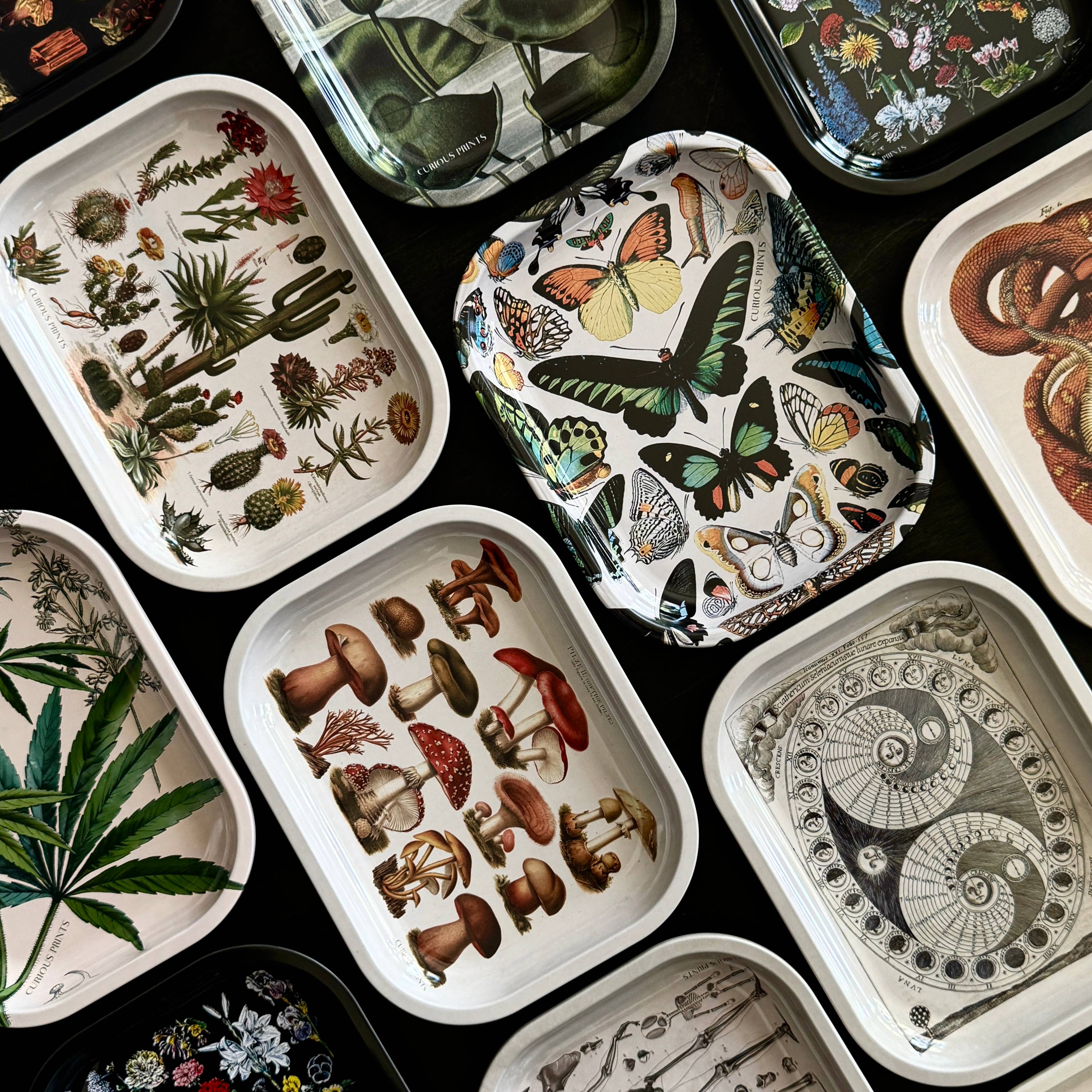 Curious Prints - Wholesale Decorative Tray - Small Metal Vintage Moon Phases Catchall Tray clearance2