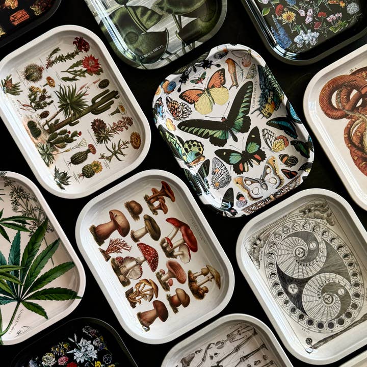 Curious Prints - Wholesale Decorative Tray - Small Metal Vintage Moon Phases Catchall Tray clearance2