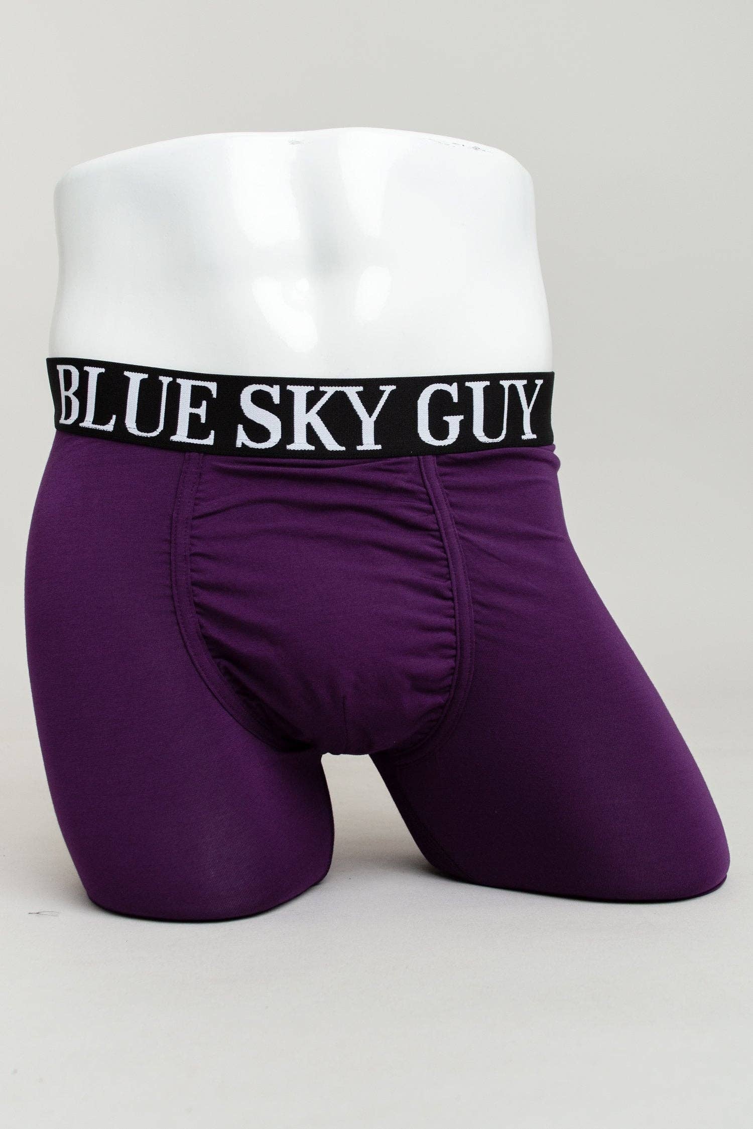 Blue Sky Clothing Co LLC – wholesale Underkläder - Herr – Mellersta mannen, Royale, Bambu0