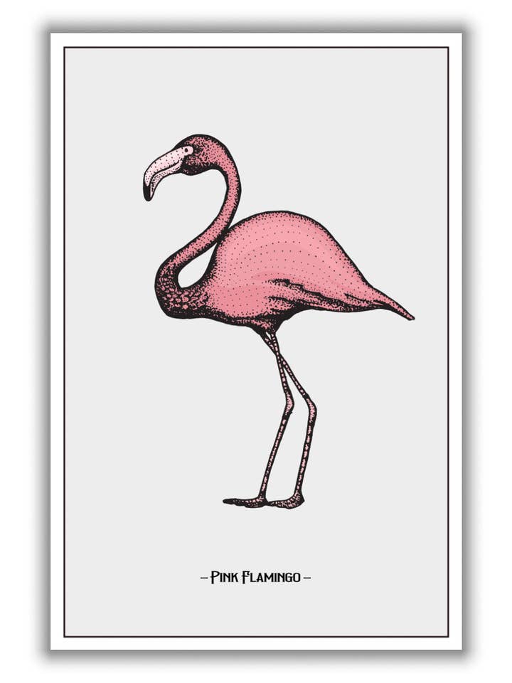 Pink Flamingo for wholesale by Stanley Print House