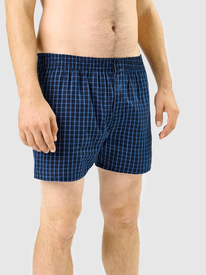 Boxer Briefs for Men's Checkered Fabric - Blue 6313 for wholesale on Faire1