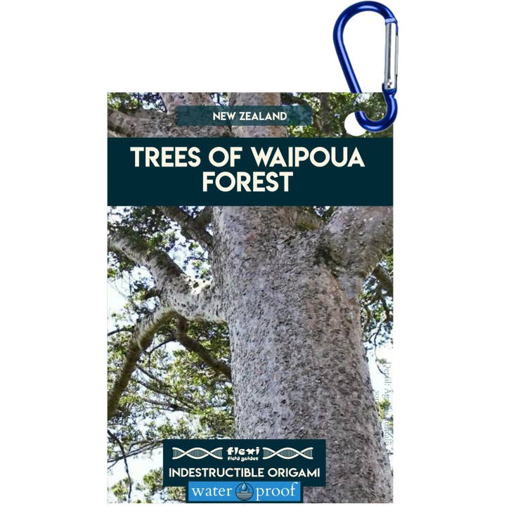 Alberi della Foresta di Waipoua - Origami Indistruttibile per la vendita all'ingrosso da parte di Flexi Field Guides