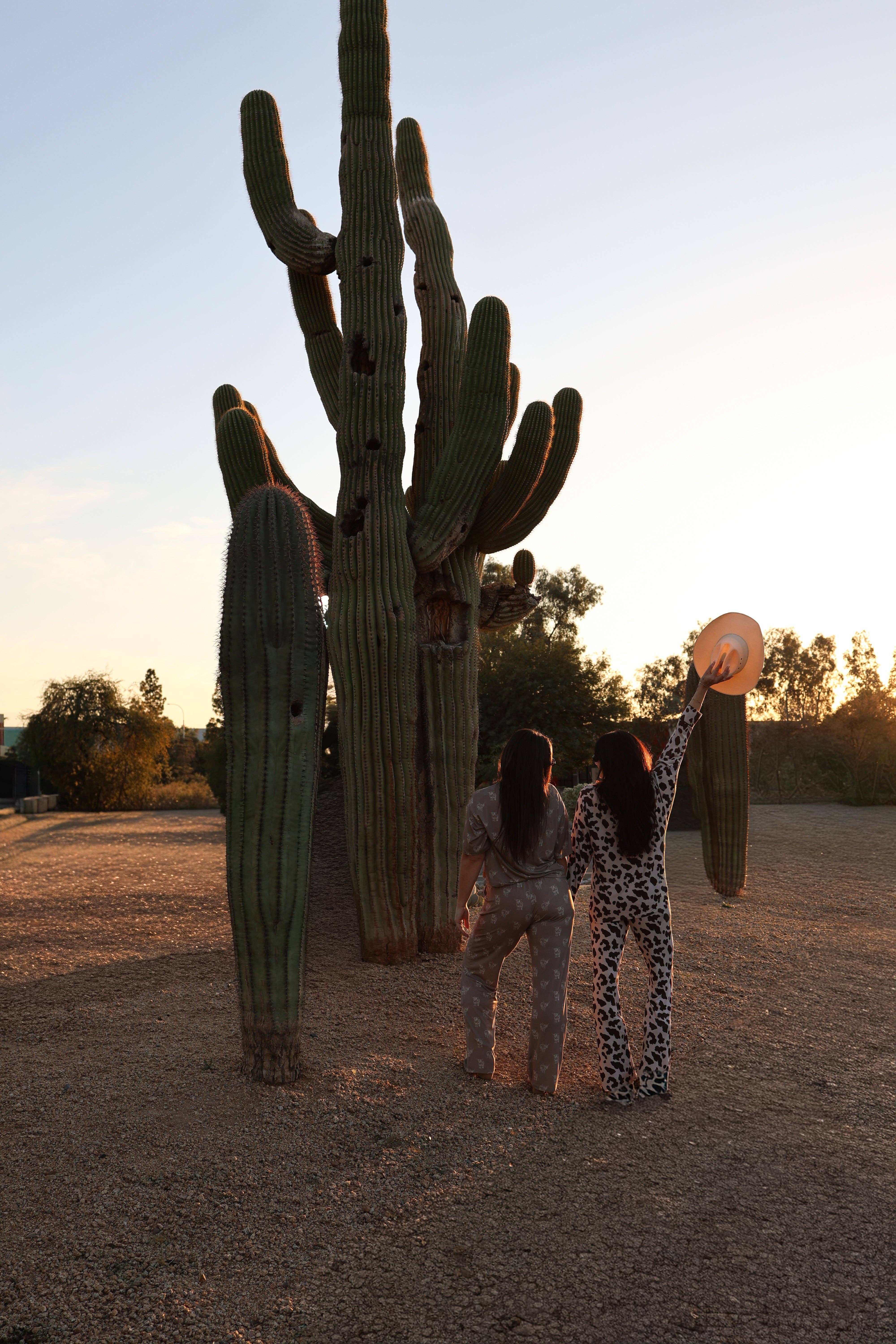 Forever French Baby - Wholesale Lounge Set - Women's - Women's Bamboo Button Up Lounge Set | Moo!4