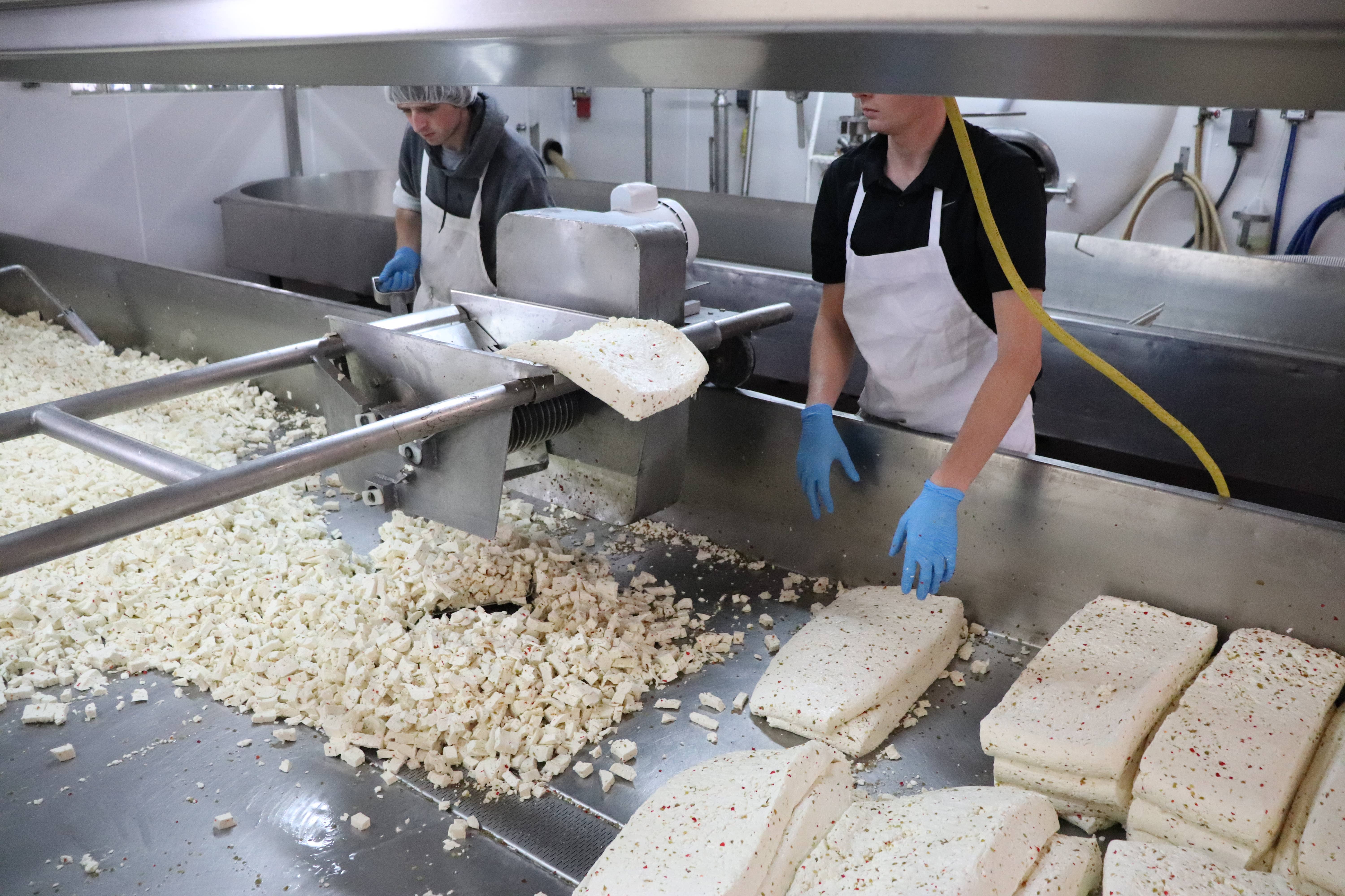 Alma Creamery LLC - Vente Fromages - 8 oz. Fromage cheddar blanc en grains2