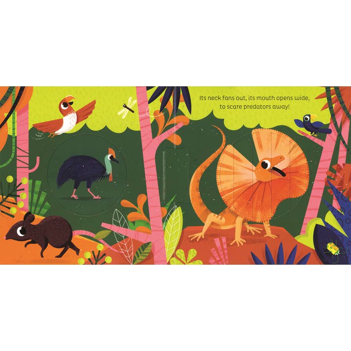 EDC Publishing - Wholesale Preschool Book (3-5) - Animal Magic: In the Jungle2