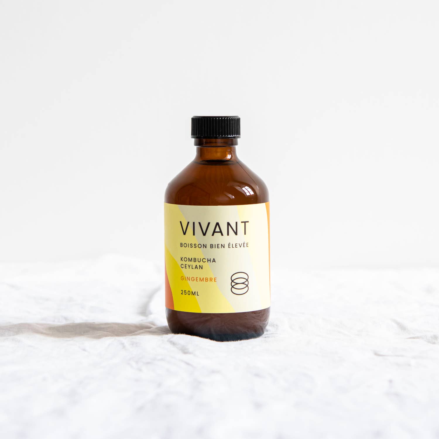VIVANT Kombucha - Wholesale Kombucha - Organic kombucha ceylan tea, ginger - Vegan - Gluten free