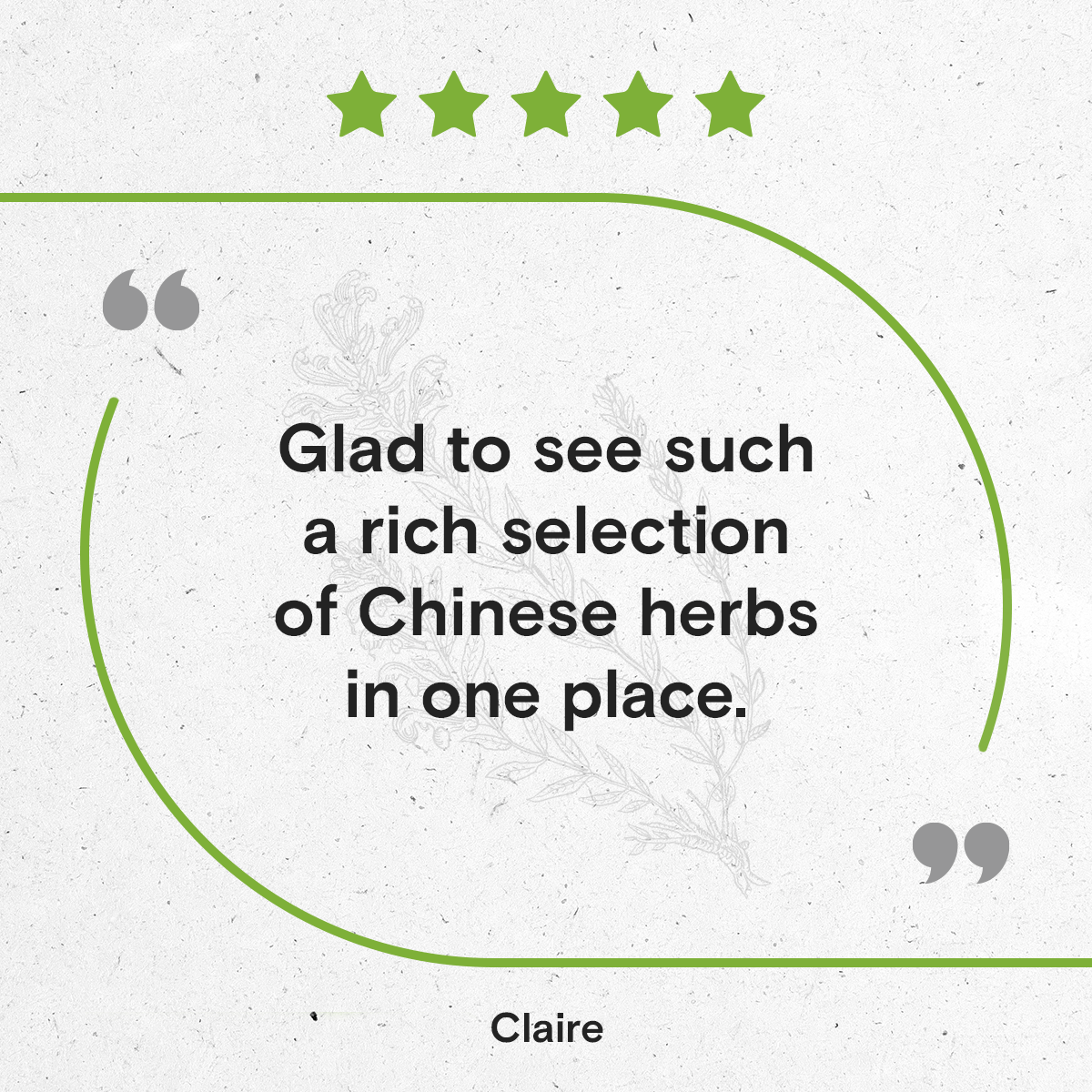 Secrets Of The Tribe - Wholesale Tincture - Huang Qin Tincture6