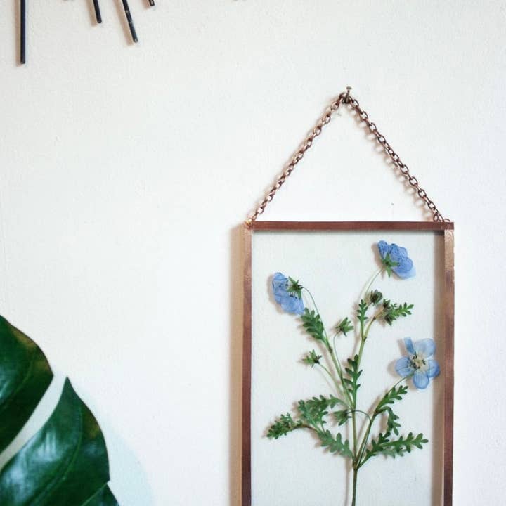 The Wildest Flowers – Großhandel Bilderrahmen – Pflanzenherbarium im handgefertigten Glasrahmen mit echten Blumen1