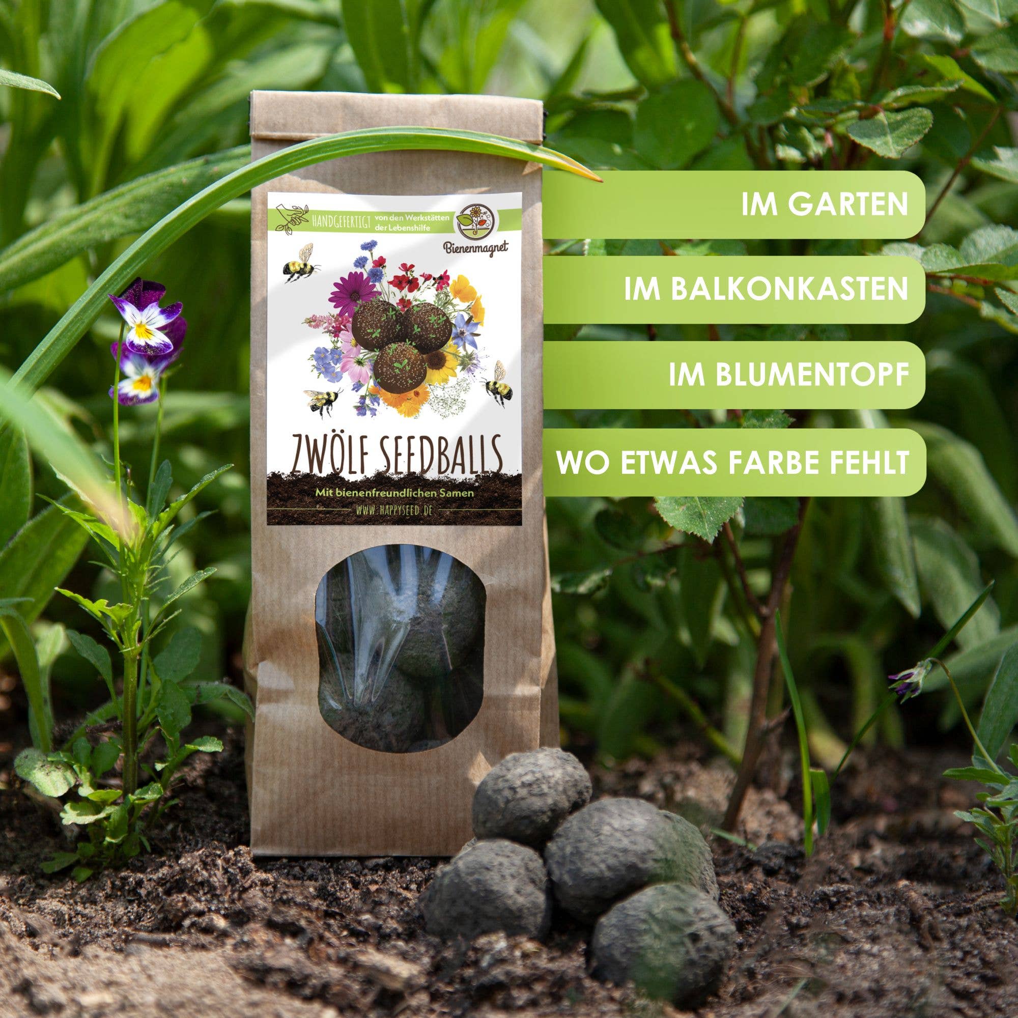 Vendix GmbH - Wholesale Plant Seeds - 12x seed bombs for colorful bee pasture (colorful)5