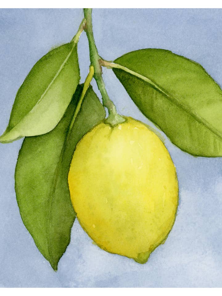 Kleine Citroen Print – Speelse Aquarel Fruitkunst voor wholesale door Art by Emma Lian