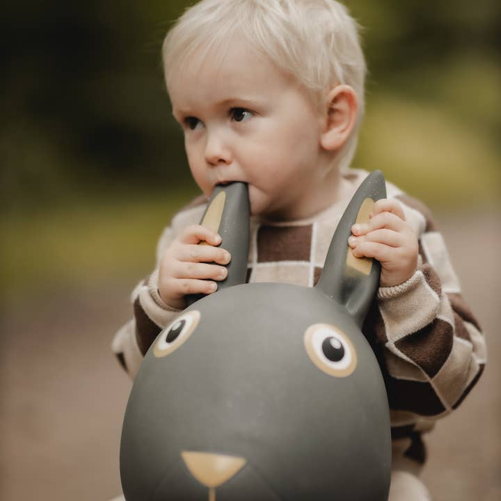 Find that hippo – wholesale Klassisk leksak - Barn – Hoppande djur - kanin