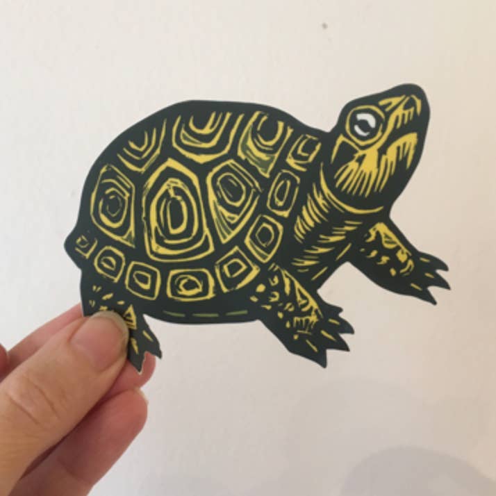 Turtle Waterproof Sticker for wholesale by Horse & Hare