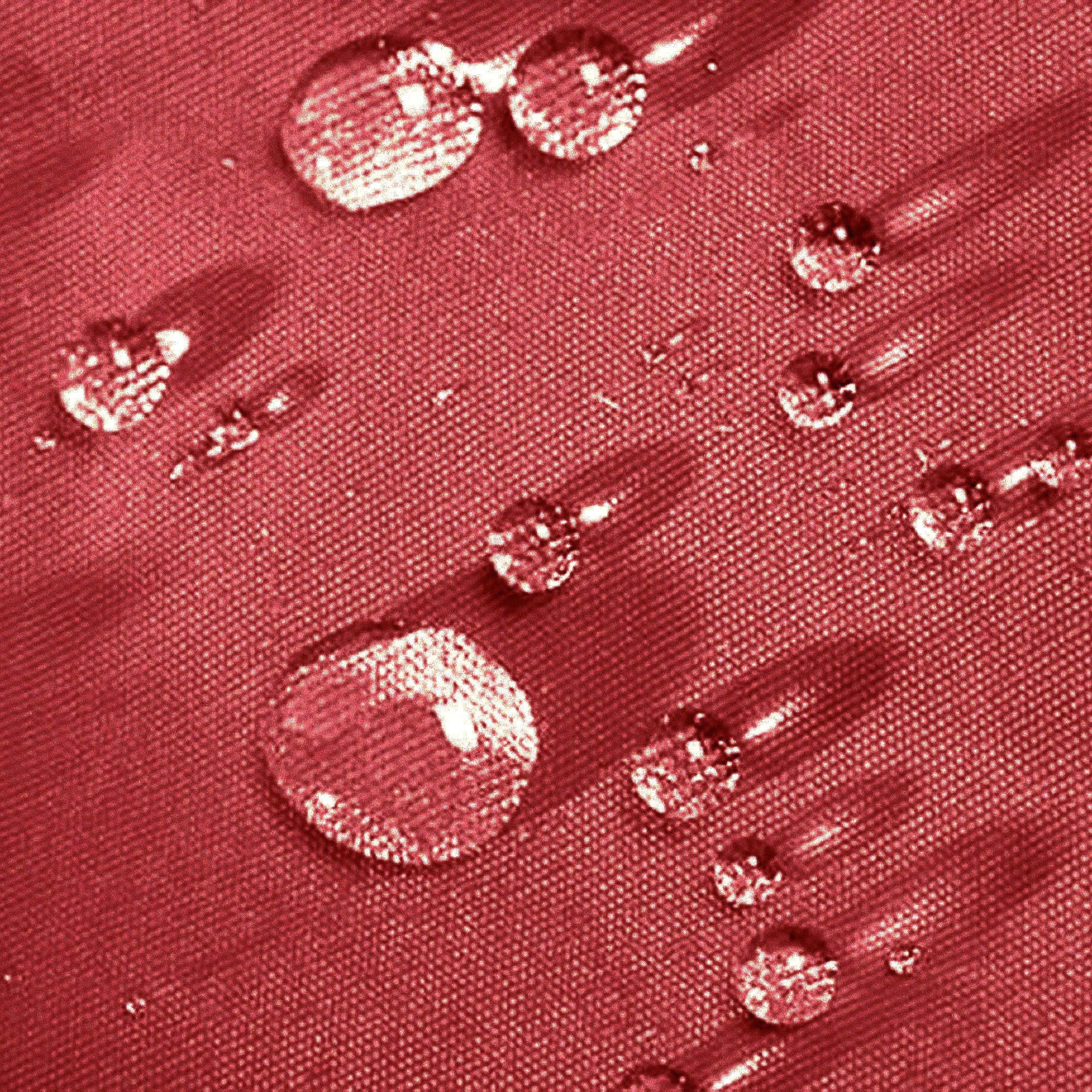 Hard Rock Health Stores – Großhandel Stuhlkissen – Ersatzkissen für Innen- und Außenliege5