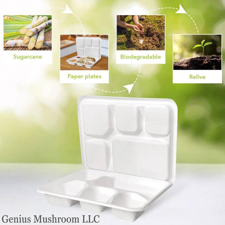 GeniusMushroom - Wholesale Disposable Plate - Disposable 5 compartment Tray With Lid, Bagasse Meal Tray3