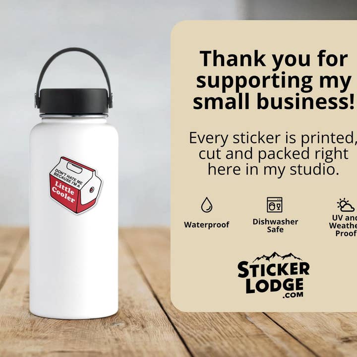 Sticker Lodge - Wholesale Phone & Laptop Stickers - Don't Hate Me Because I'm A Little Cooler Vinyl Sticker4