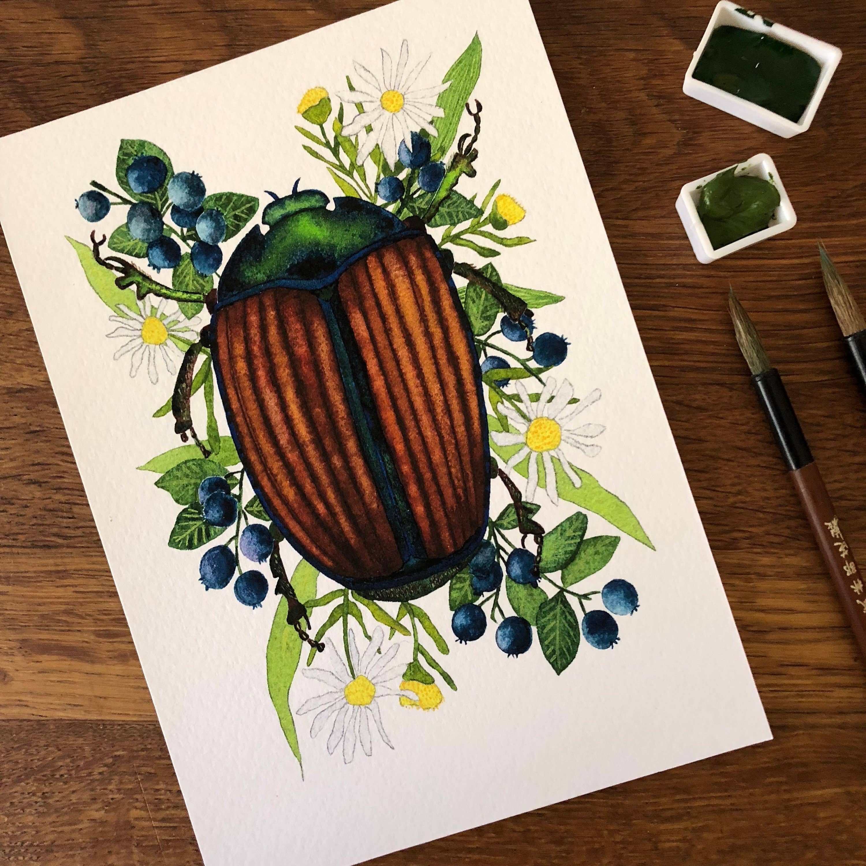 Candace Fincher – Impressão artística por atacado – Bug Insect June Impressão De Pintura Original Aguarela, Arte Entomologia7