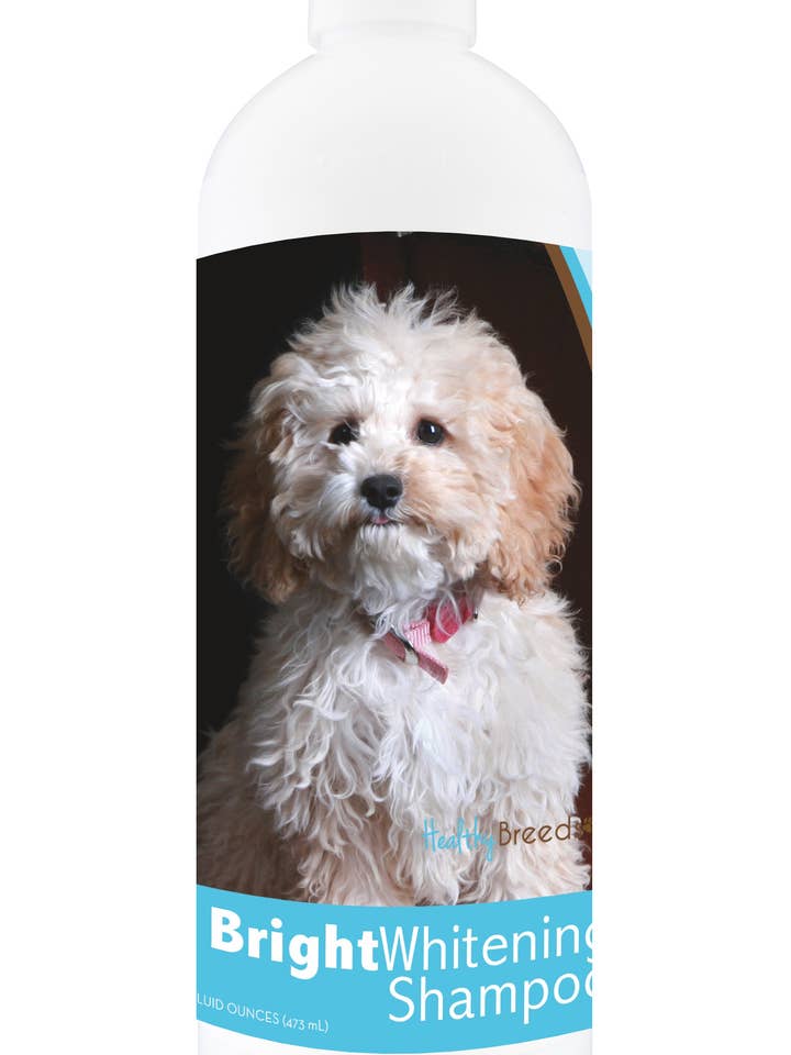 Healthy Breeds Cockapoo Bright Whitening Shampoo 12 oz for wholesale by Healthy Breeds