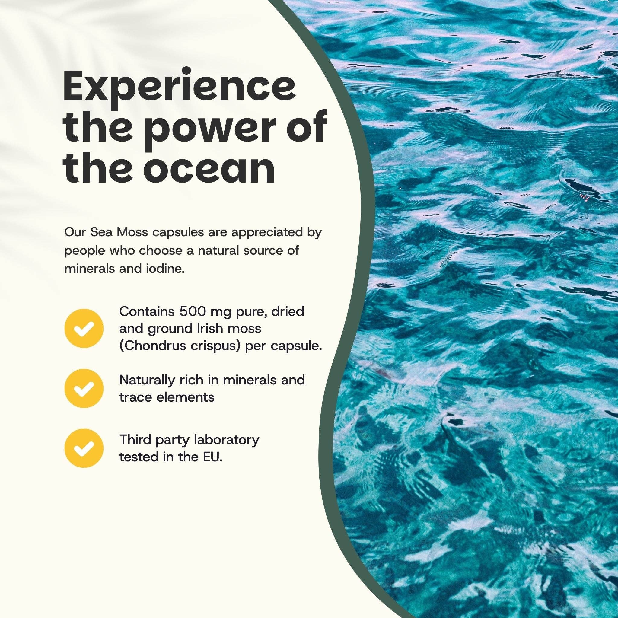 Cupplement b.v. - Wholesale Voedingssupplement/vitamine - Zeemos Capsules 500 mg Biologisch 60 Capsules1