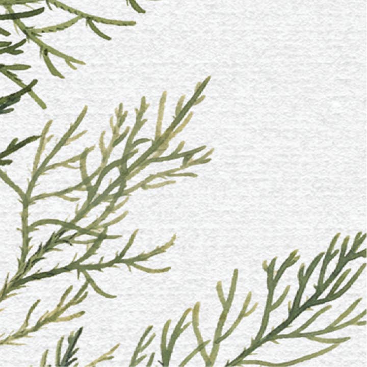 Pink Lemon Decor - Wholesale Art Print - Juniper Art Print | Vintage Art1