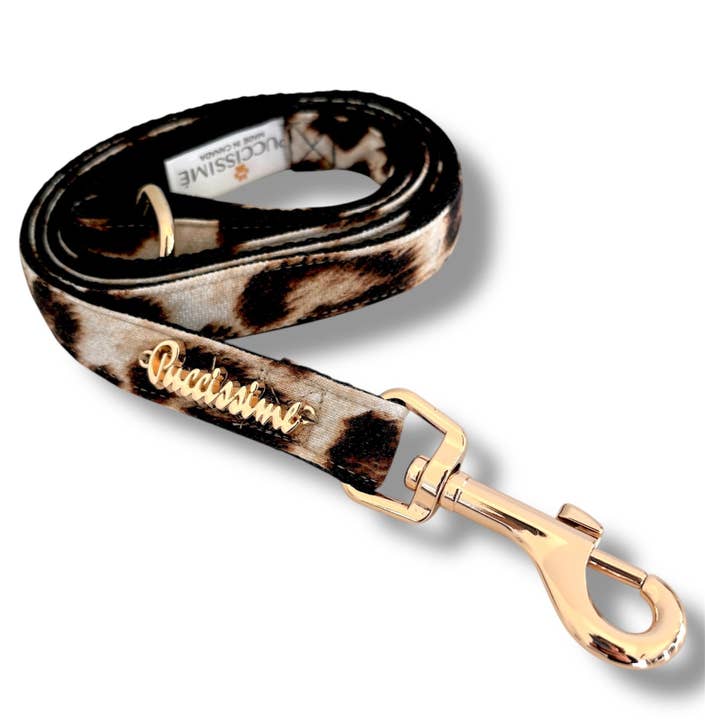 Leopard Leash with hands-free extension for wholesale by Puccissimé Pet Couture