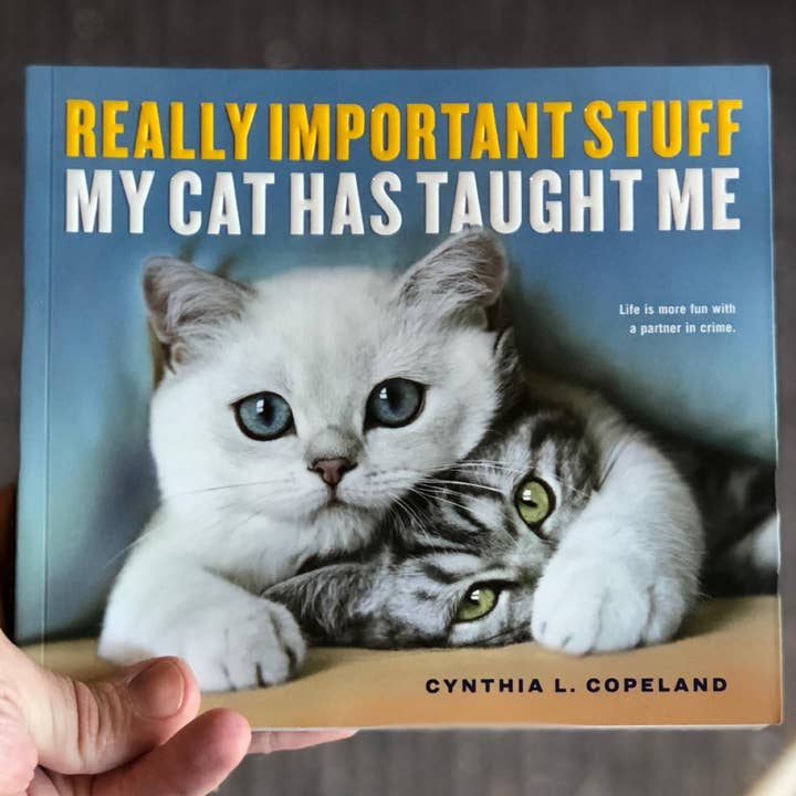 Really Important Stuff My Cat Has Taught Me for wholesale by Microcosm Publishing & Distribution
