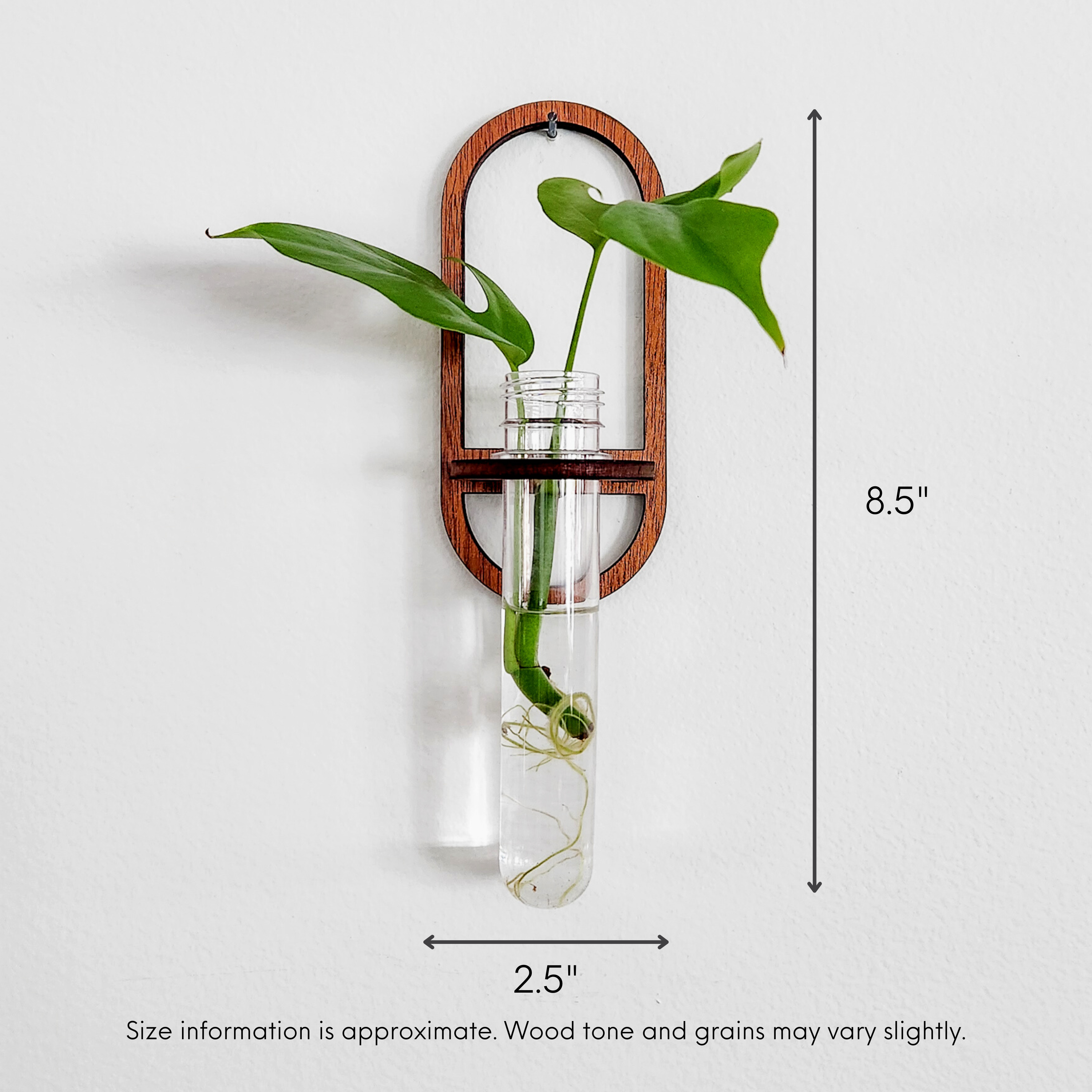 Leaf & Node - Wholesale Hanging Planter - Wall Hanging Propagation Station - Oval Test Tube Holder3