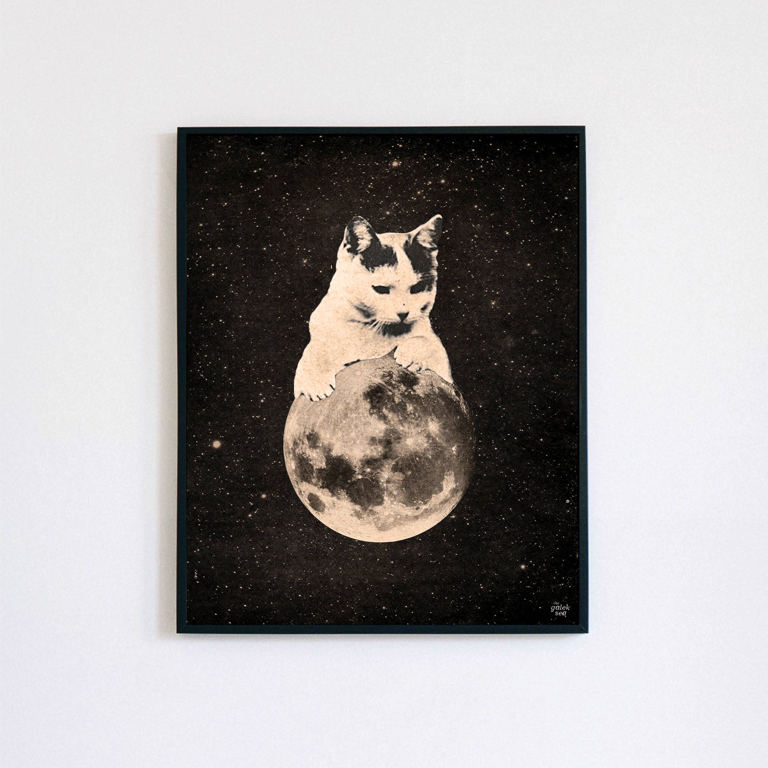 The Galek Sea – Engroshandel Kunsttryk – Mooncat 2 Print4