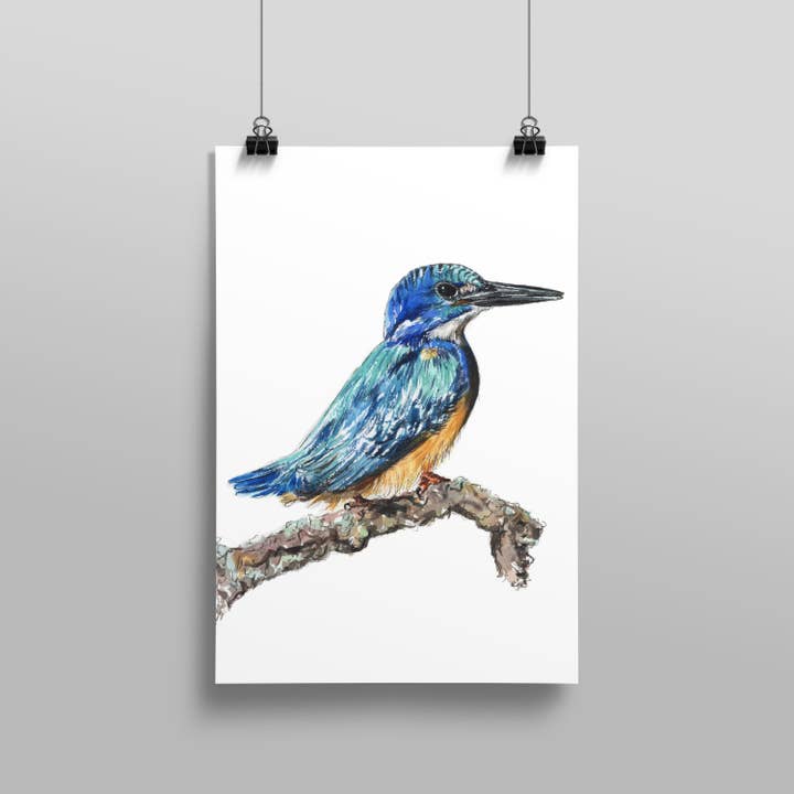 IJsvogel Kunstdruk, Origineel Aquarelschilderij voor wholesale door Jessica Kendrew Fine Art