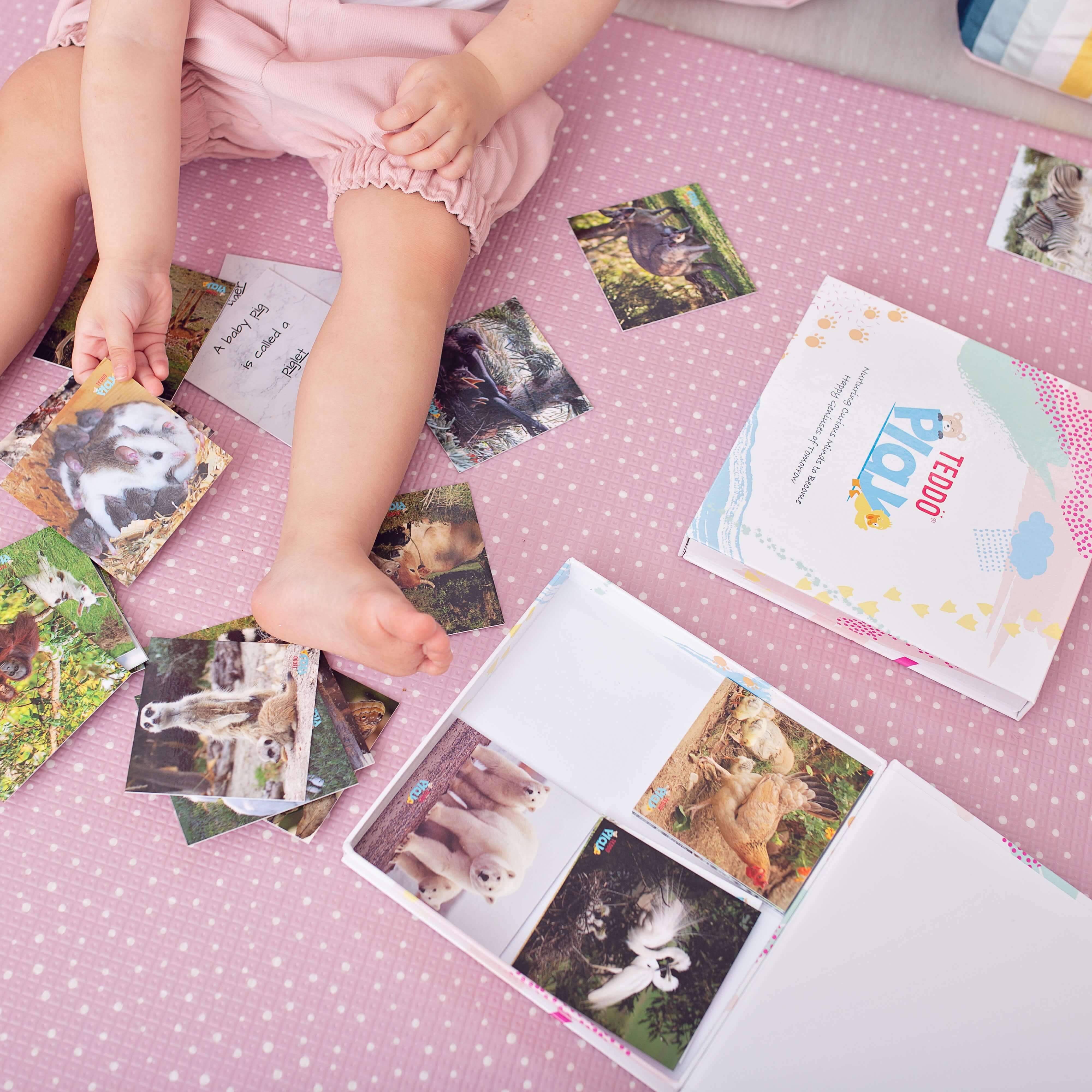 Teddo Play – Großhandel Lernkarten – Kind & Baby – Multi-Bundle mit 13 Lernsets Lernspiele für Kinder21