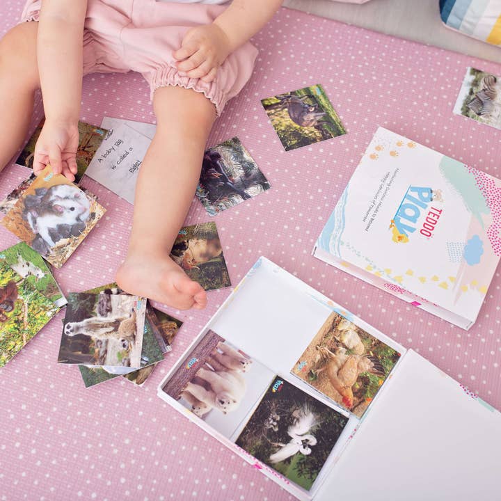 Teddo Play – Großhandel Lernkarten – Kind & Baby – Multi-Bundle mit 13 Lernsets Lernspiele für Kinder21