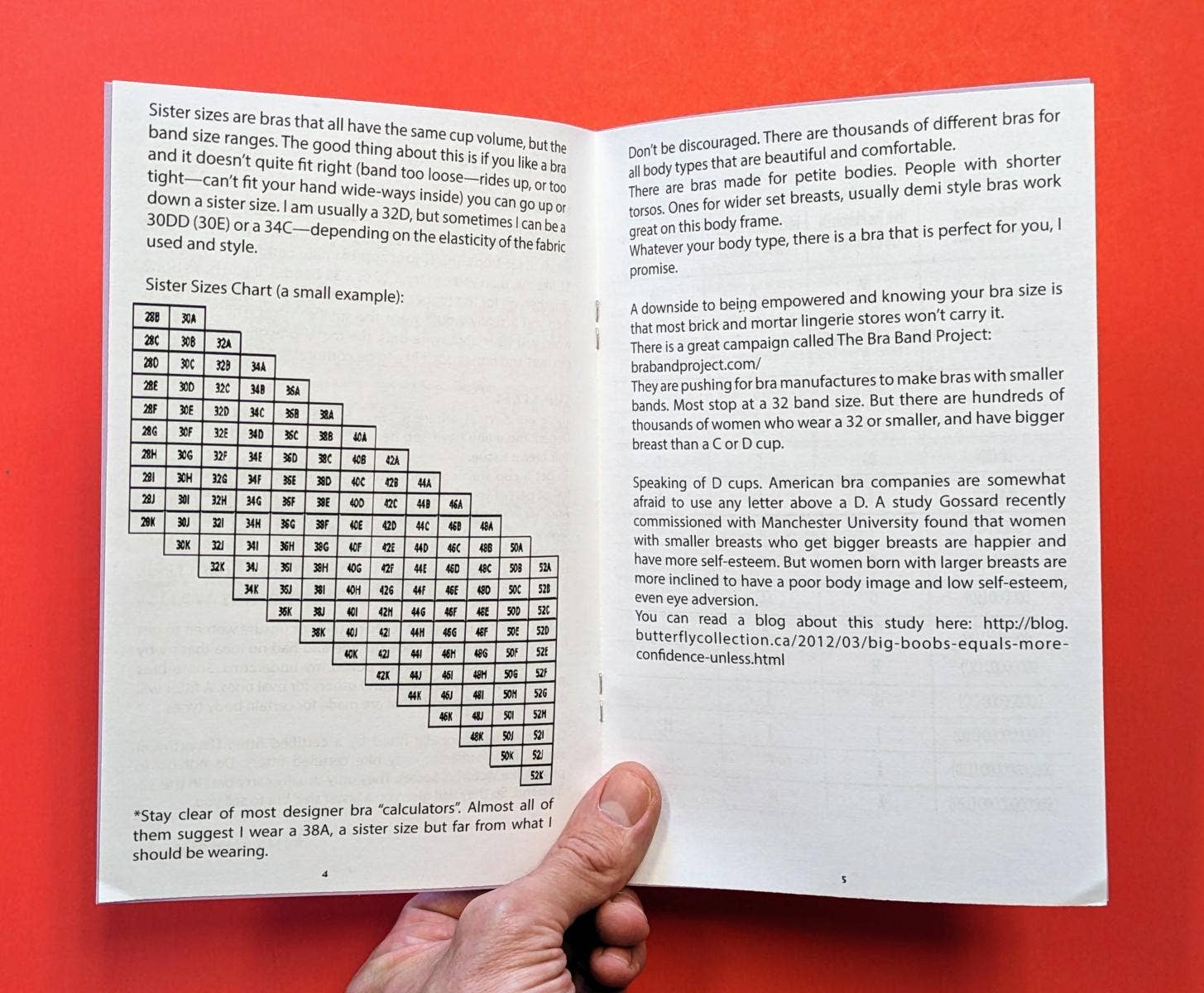 Microcosm Publishing & Distribution – Großhandel Zeitschrift – Brazine! (Zine)1