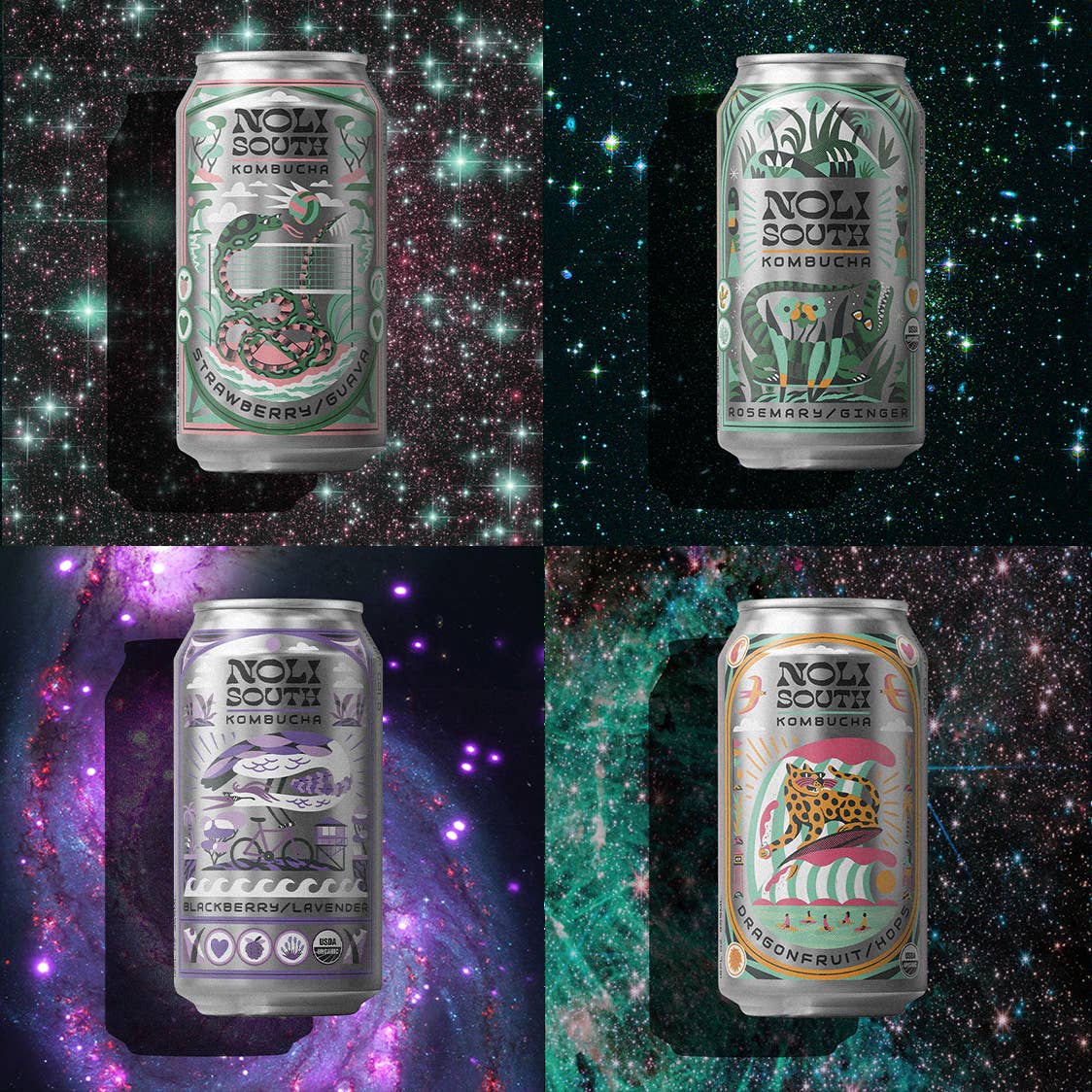 Noli South - Wholesale Kombucha - The Restock Kombucha Pack5