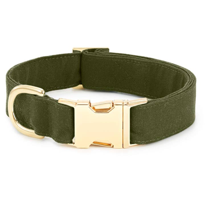 Olive Dog Collar for wholesale by The Foggy Dog